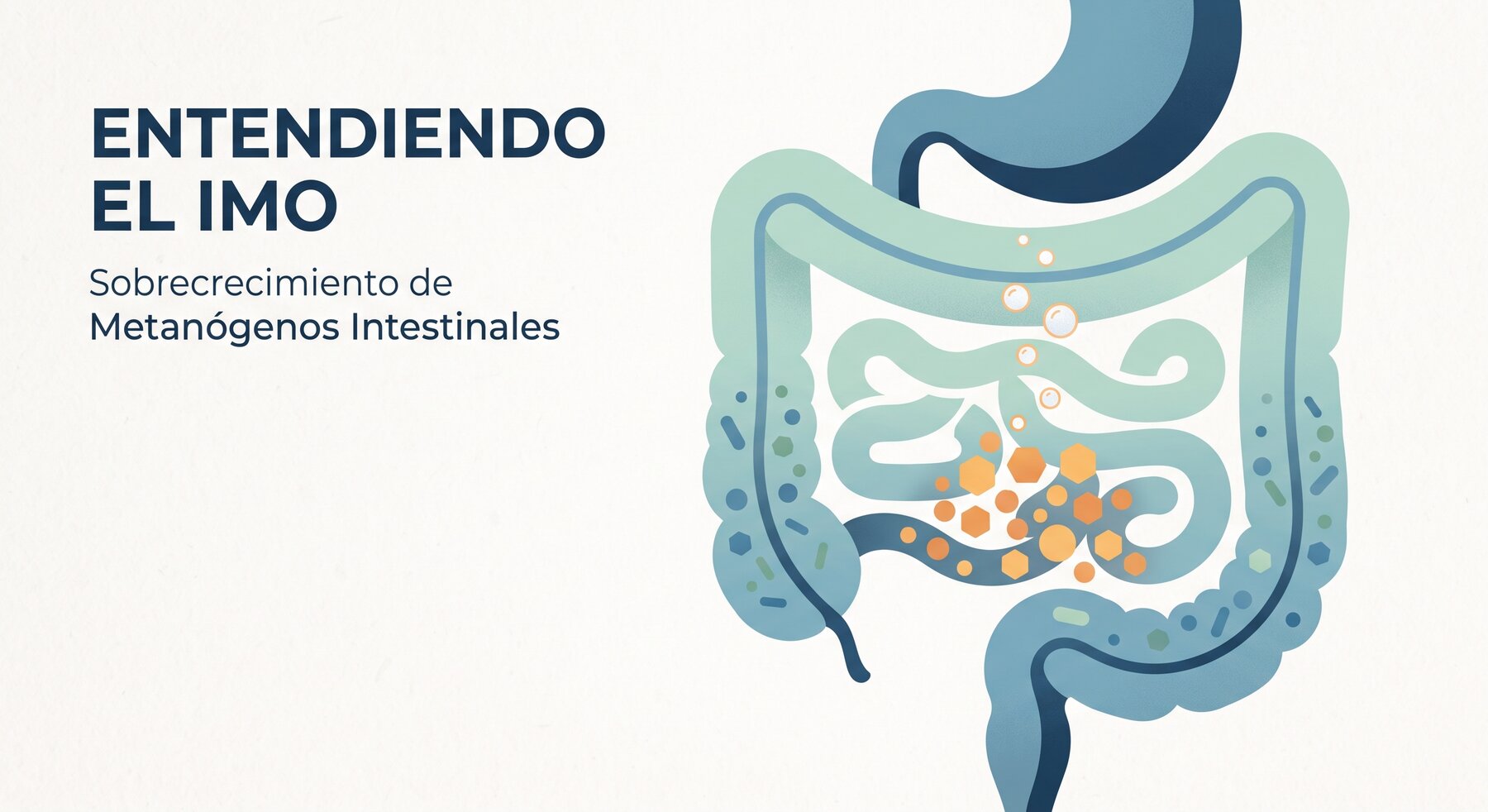 IMO para profesionales: interpretar metano, motilidad y microbiota