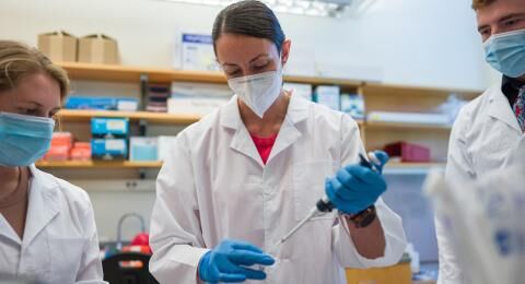 Equipo de investigación trabajando con una muestra en el laboratorio